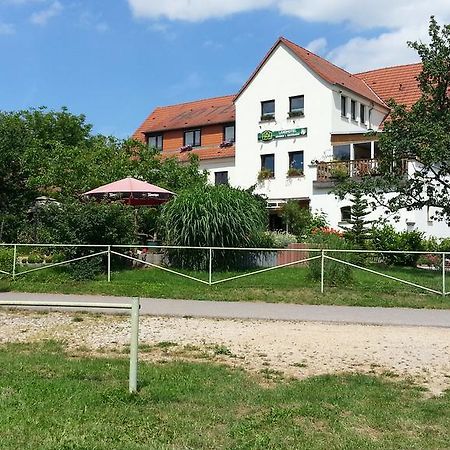 Отель Grober'S Reiterhof Наумбург Экстерьер фото